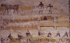 Nekropole III